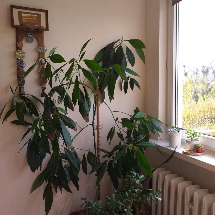 Wakacje Nad Morzem Danzig Exterior foto